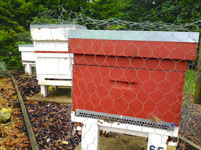 Time To Protect Your Hives!- 5 tips keeping them safe.