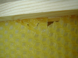 The Hive DIY Tip- how to avoid damaging foundation during frame making.