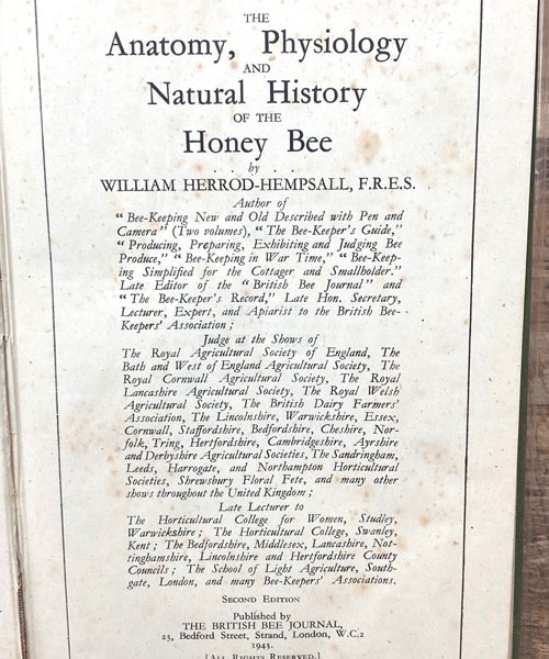 The Anatomy, Physiology and Natural History of the Honey Bee-British 1943